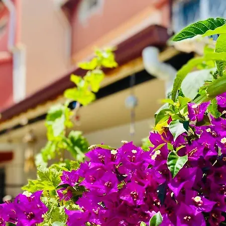 Kusadasi'nda Harika Nida 8 Villa Kusadasi